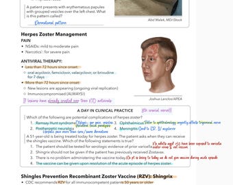 Dermatologie | Eerstelijnszorgbeoordeling | Examenvoorbereiding afsluiten | FNP., AGNP | Klinische opmerkingen | Studiegids