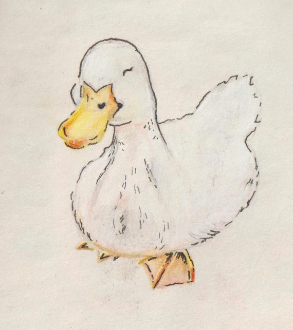Aylesbury Duck | Duck Art Print, Badges, Stickers, Keyrings and 25mm badges