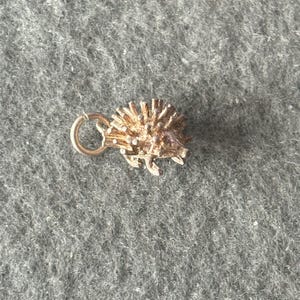 May include: A silver charm in the shape of a hedgehog. The charm has a loop for attaching to a bracelet or necklace.