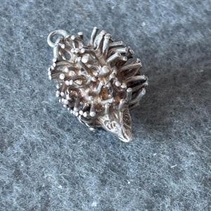 May include: A silver charm in the shape of a hedgehog. The charm is detailed and has a textured surface.