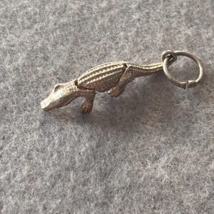 Pode incluir: Um berloque de metal prateado em forma de jacaré com dorso texturizado e escamoso, apresentando um pequeno anel circular preso à cauda. O berloque possui segmentos articulados ao longo do corpo, uma cabeça detalhada e quatro patas.