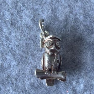 Könnte beinhalten: Ein silberfarbener Metallanhänger in Form einer Eule mit Doktorhut. Die Eule sitzt auf einem horizontalen Ast und hat große, kreisförmige Augen sowie eine kleine Fliege. An der Oberseite des Doktorhuts befindet sich eine kleine Metallöse.