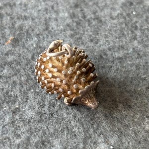 May include: A small, detailed hedgehog charm with a gold-toned body and silver-colored accents. The charm features a textured surface with small, white dots and a loop for attaching to a necklace or bracelet. The hedgehog's face is visible.