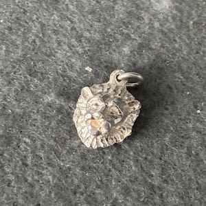 May include: A small, silver lion pendant. The pendant depicts a detailed lion's head with a textured surface and a small loop for attaching to a chain. The lion's mane and facial features are clearly defined.