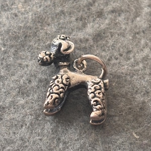 Puede incluir: Un dije de metal en tono plateado con forma de perro caniche. El dije presenta patrones de pelaje texturizados y detallados en la cabeza y las patas, un collar liso y una pequeña argolla circular unida a la parte posterior para colgar.