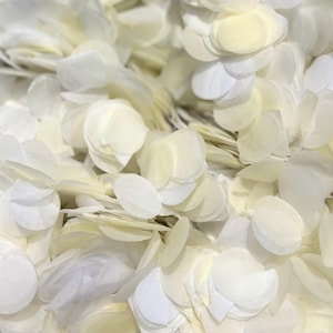May include: A pile of white and cream paper circles, resembling confetti or paper flowers. The circles are layered and overlapping, creating a textured and organic look.