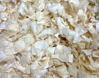 10 Handfuls | Ivory Hydrangea Petal Natural Confetti | 100% Natural & Biodegradable