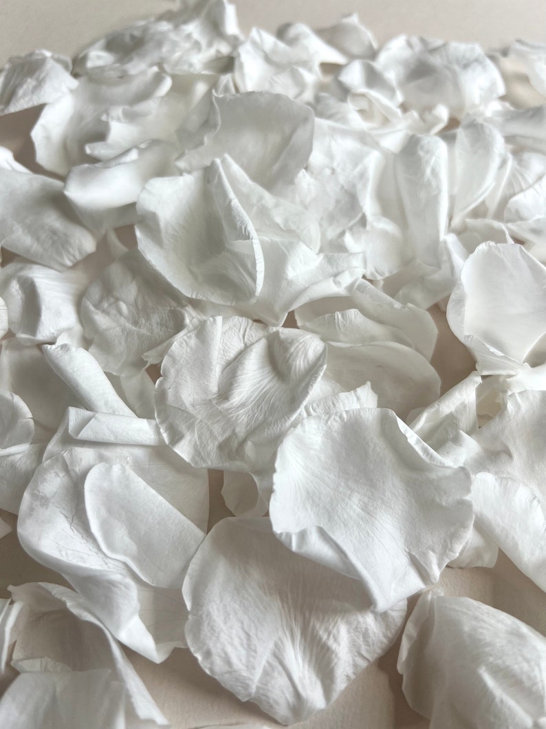 Luxury White Large Rose Petal Confetti