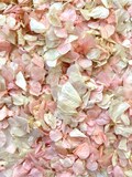 10 Handfuls | Pink Blossom Natural Confetti | 100% Natural & Biodegradable