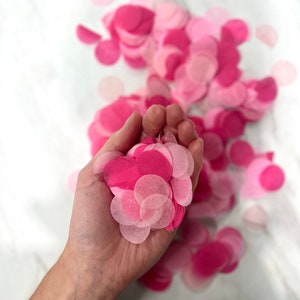 Biodegradable Pink Confetti