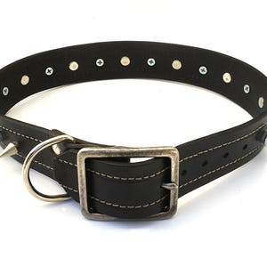 Black Leather Dog Collar With Spikes and Industrial Studs - Etsy