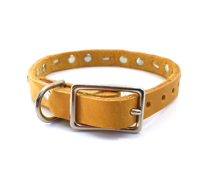 Mustard Yellow Leather Dog Collar with Rhinestones & Studs Etsy
