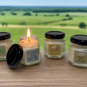 Puede incluir: Cuatro pequeños frascos de vidrio con tapas negras que contienen velas. Las velas están etiquetadas como "Candles of Vienna", "Rustic Whiskey", "Peach Orchards of Gettysburg" y "Campfire and Coffee". Una vela está encendida.
