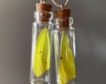 Ethical Butterfly Wing Pendant, Natural Curiosity Jewelry, Talisman of Change