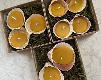 Shell Tea Light Candle Set, Choose From 2, 3, or 4