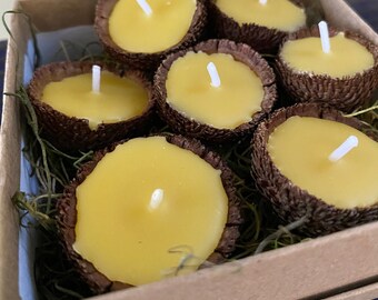 Floating Acorn Cap Candles, Set of 7 Chestnut Oak Beeswax Candles