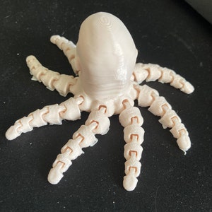 THE ROCKTOPUS 3D Printed image 3