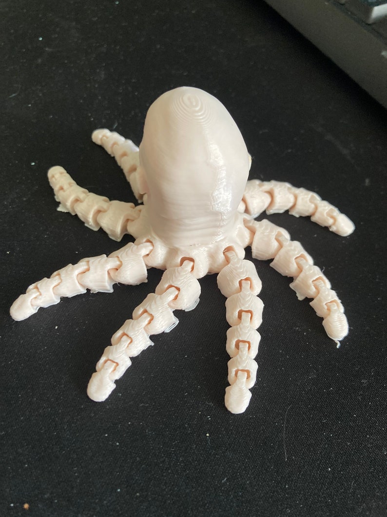 THE ROCKTOPUS 3D Printed image 3