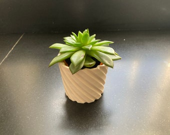 Flower Pot | 3D Printed