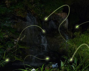 Flying Firefly Solar Lights - The world’s most realistic  FireFly effect