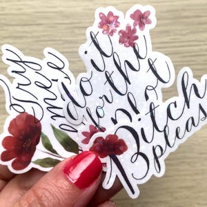 Pacote de adesivos de atitude - decalques de energia de personagem principal floral escuro para laptop e garrafa de água - vinil resistente à água - presente de melhor amiga foda