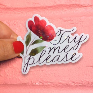 Sticker Try Me - gewaagde en grappige vinylsticker voor laptop, waterfles en Kindle - sarcastisch esthetisch cadeau voor haar