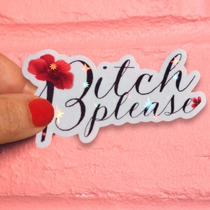 Bitch Please Sticker - Sassy vinyl sticker voor laptop en bidon - Bold Attitude cadeau voor stoere besties
