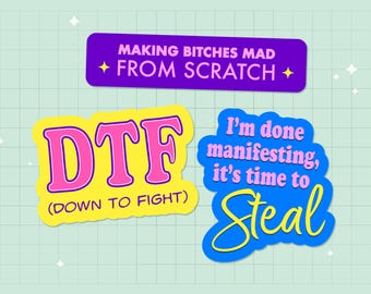 Paquete de pegatinas divertidas: juego de 3 pegatinas impermeables con humor caótico: ¡Manifestación cumplida!