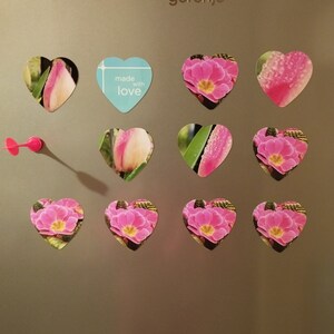May include: A silver refrigerator with a Gorenje logo and 12 heart-shaped magnets with pink flowers and the text "made with love" on one of the magnets.