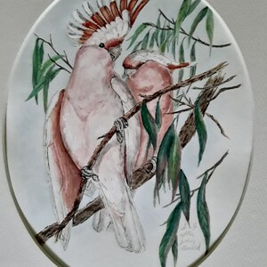 COCKATOO watercolor painting PINK Major Mitchell&#39;s accurate copy of John Gould PARROT gouache matted 11X14