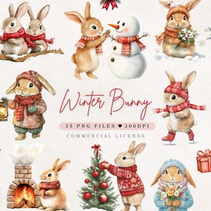 Aquarell Winter Hase Clipart Winter Kaninchen Festliche Clipart | Winter Clipart Handwerk Festlich Papier Handwerk | Niedliches Häschen Clipart | Kaninchen PNG
