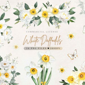 Akvarell vit påsklilja clipart akvarell blommor clipart vårblommor PNG | Påskliljabuketter | Påskliljakrans | Påskliljakanter