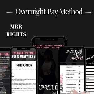 Übernacht Zahlungsmethode | Passives Einkommen | Digitale Anleitung für Anfänger | DFY Produkte online verkaufen | Verdienen Sie Geld, während Sie schlafen | MRR