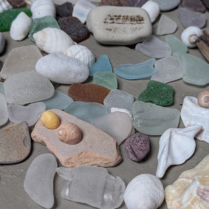May include: A collection of sea glass, seashells, and small stones in various shapes and colors. The sea glass ranges from clear to shades of blue and green. Seashells are white and tan, and the stones are gray and brown.