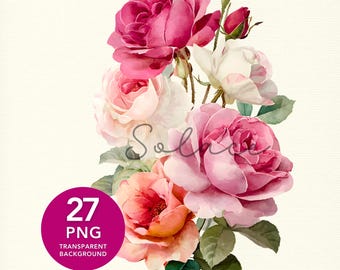 Pink Roses and Peony Watercolor Flowers, Roses Png, Peony Png, Floral Bouquet Png, Sublimation Design, Junk Journal Scrapbooking, Invitation
