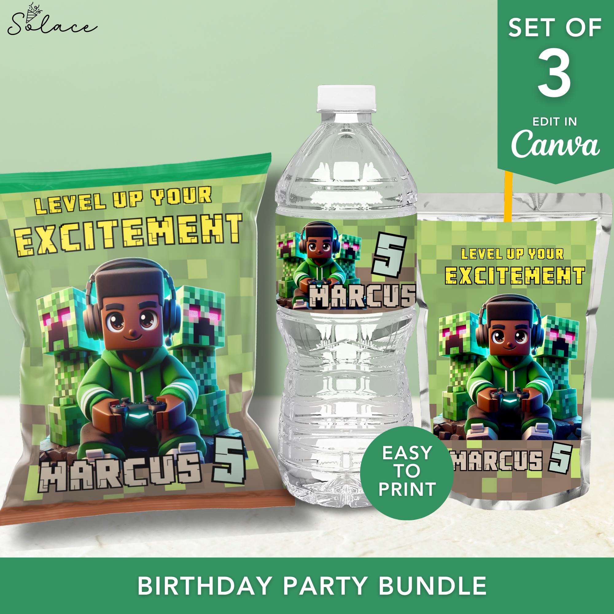 Custom Minecraft Party Set