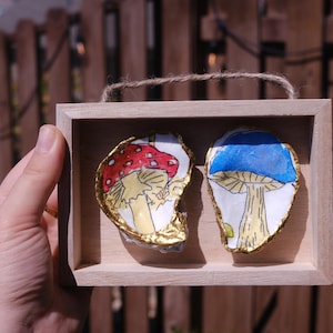 Mushroom-decorated oyster shadowbox