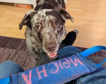 Schwimmende Feuerwehrschlauch Hundespielzeug Tauziehen Fetch Custom Upcycled