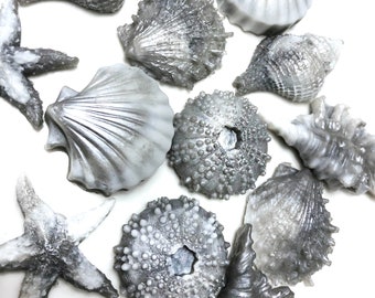 Transform Your Bathroom with Elegance: Set of 13 Handcrafted Silver and White Seashells to Perfectly Match Your Decor