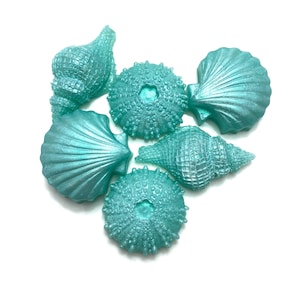 May include: A collection of six teal-colored seashell and sea urchin decorations. The shells have a pearlescent sheen, and the sea urchins have a textured, spiky appearance. The objects are arranged on a white background.