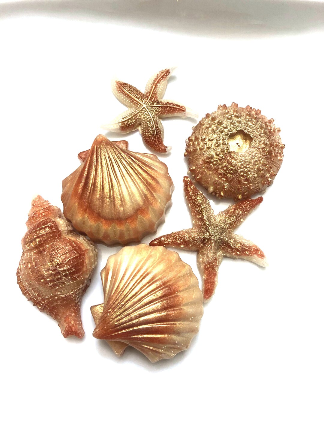 Sea Shell Soap Set - Beach House Mini Soaps - Coastal Decor, Custom ...