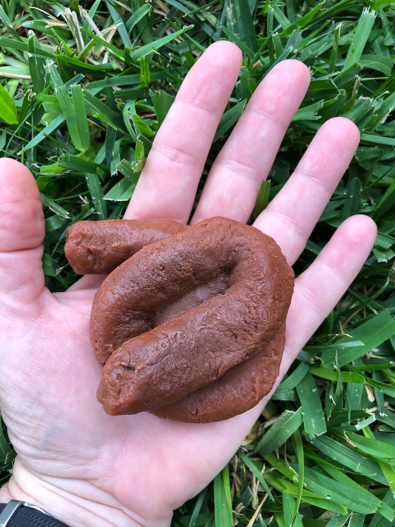Hilarious Dog Poop Soap Handmade Gag Gift for Dog Lovers image 2