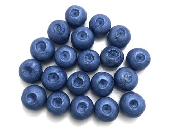 Unscented Blueberry Soap Embeds - Set of 20