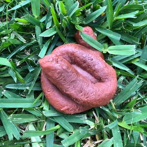A handmade soap bar resembling dog poop, placed on a white surface. The soap has a realistic texture and color, with slight variations in shade and shape. It's approximately 3.5 inches long and 2 inches wide