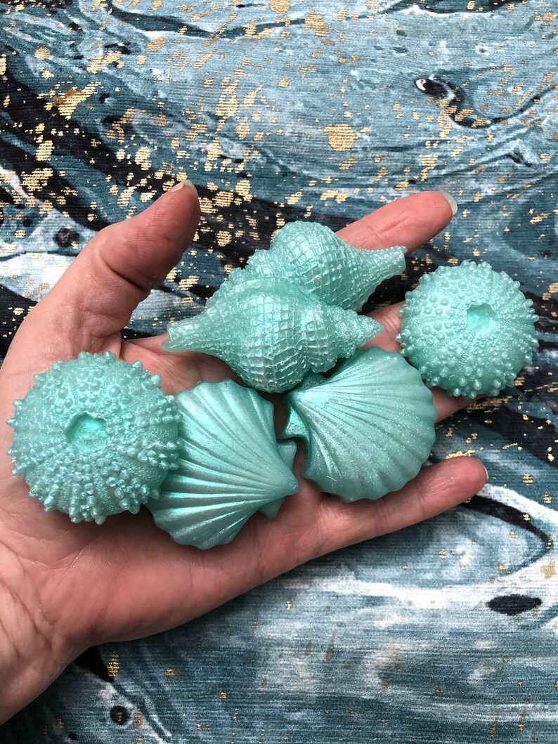 Sea Shell Soap 6 Pieces Beach House Soap Beach Mini Soap | Etsy
