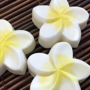 Plumeria Soap Set - Tropical Hawaiian Decor - Vegan Soap Gifts