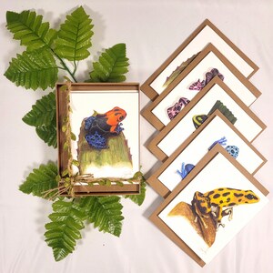 Natuurkaarten/wenskaarten/aquarelkaarten/kikkerkaarten/kaartbundels - Poisonous Croaks