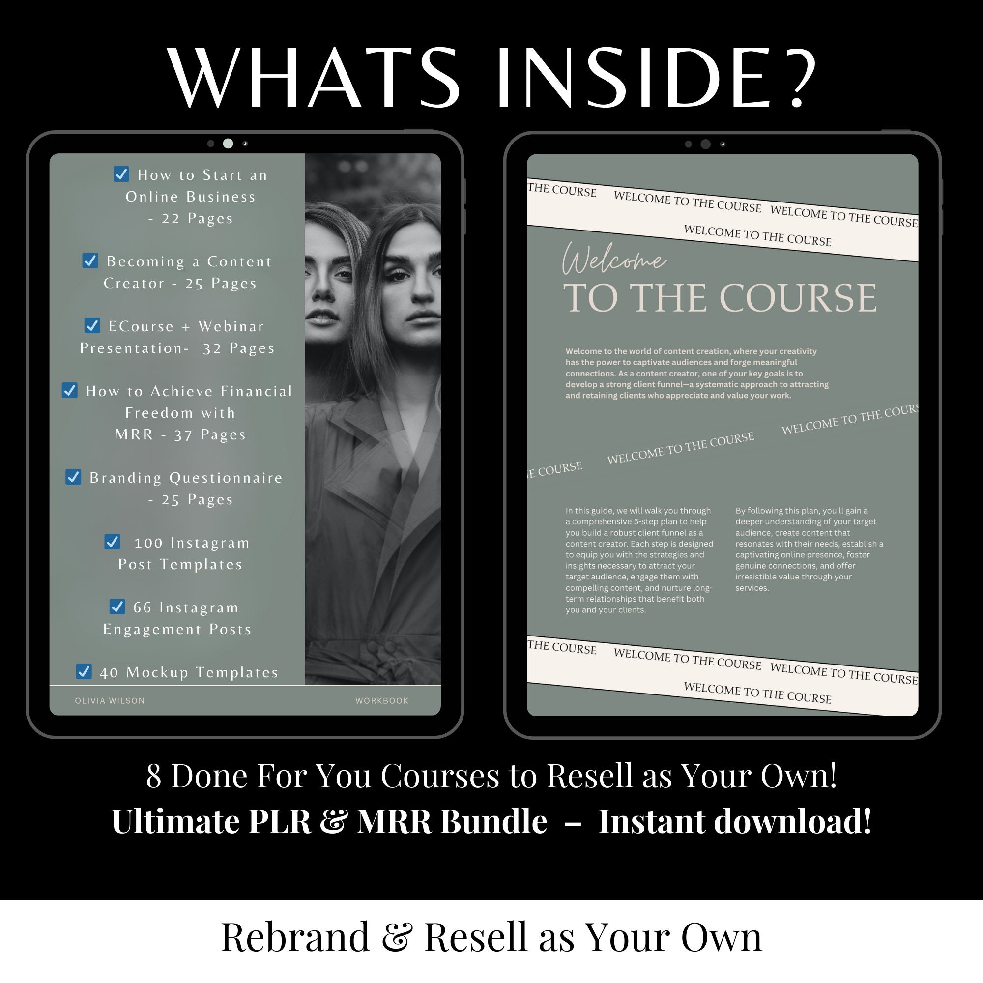 Ultimate PLR MRR Bundle Ideal for Passive Income Featuring Private ...
