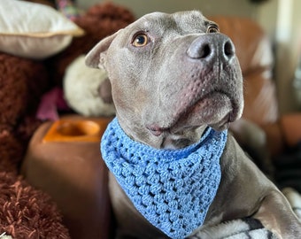 Everyday Pet Bandana