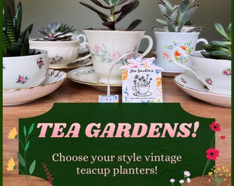 CHOICE! TEA GARDENS Vintage Teacup Planters • Cottage Style Planter • Tea Party Favors